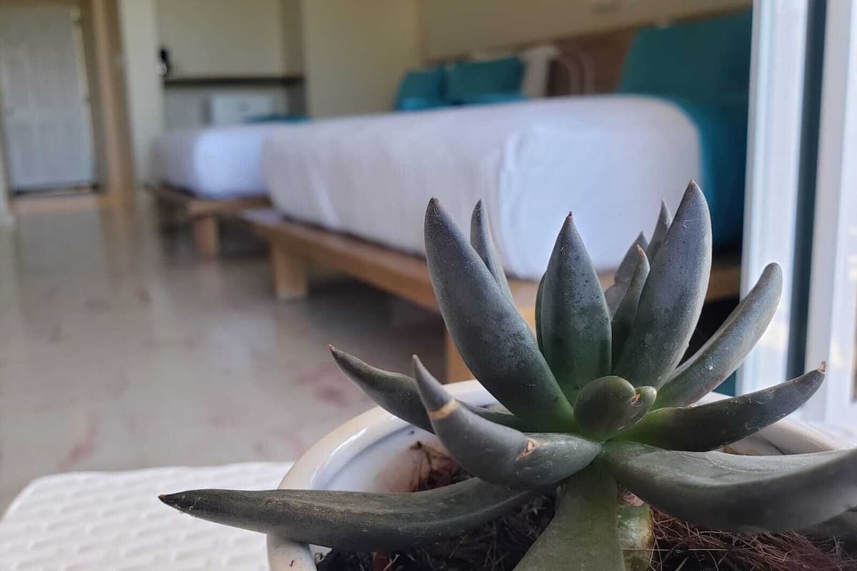 Habitación doble superior | Escritorio, wifi gratis y ropa de cama
