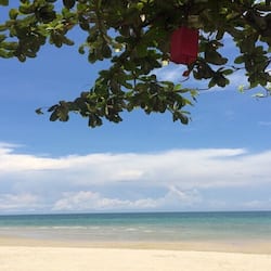 Trên bãi biển, cát trắng, ghế dài tắm nắng, dù trên bãi biển