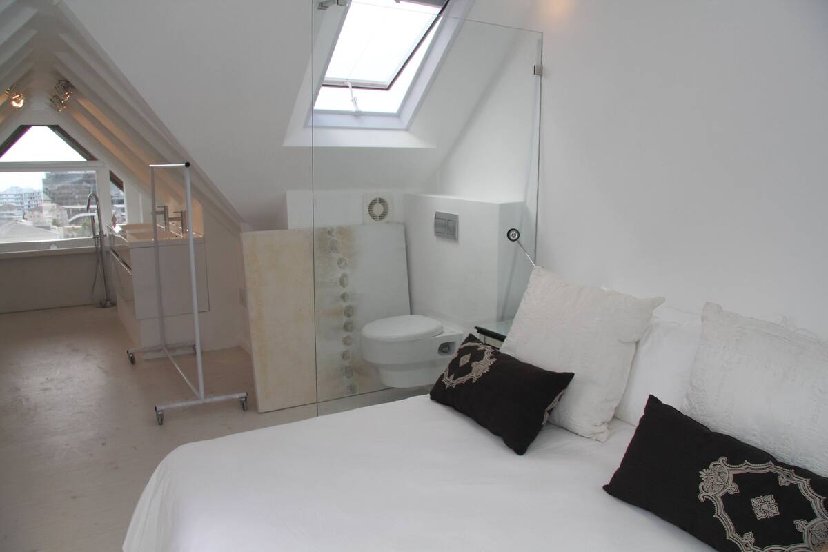 A bedroom with a skylight, a bed with white and black pillows, a glass shower enclosure, and a white toilet.