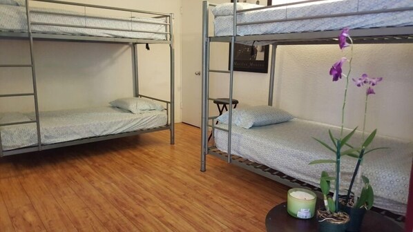 Een slaapkamer met een stapelbed, een houten vloer, een klein krukje en een potorkidee.
