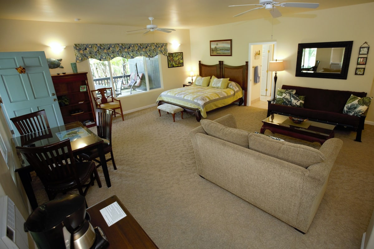 A well-lit room with a bed, a sofa, a dining table with chairs, a coffee table, and a TV. There are ceiling fans, a window with a view, and a door.