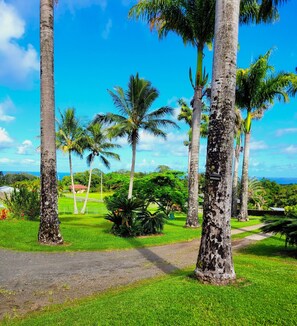 View from room - Island Goode's - Luxury Adults Only Accommodation (Papaikou)