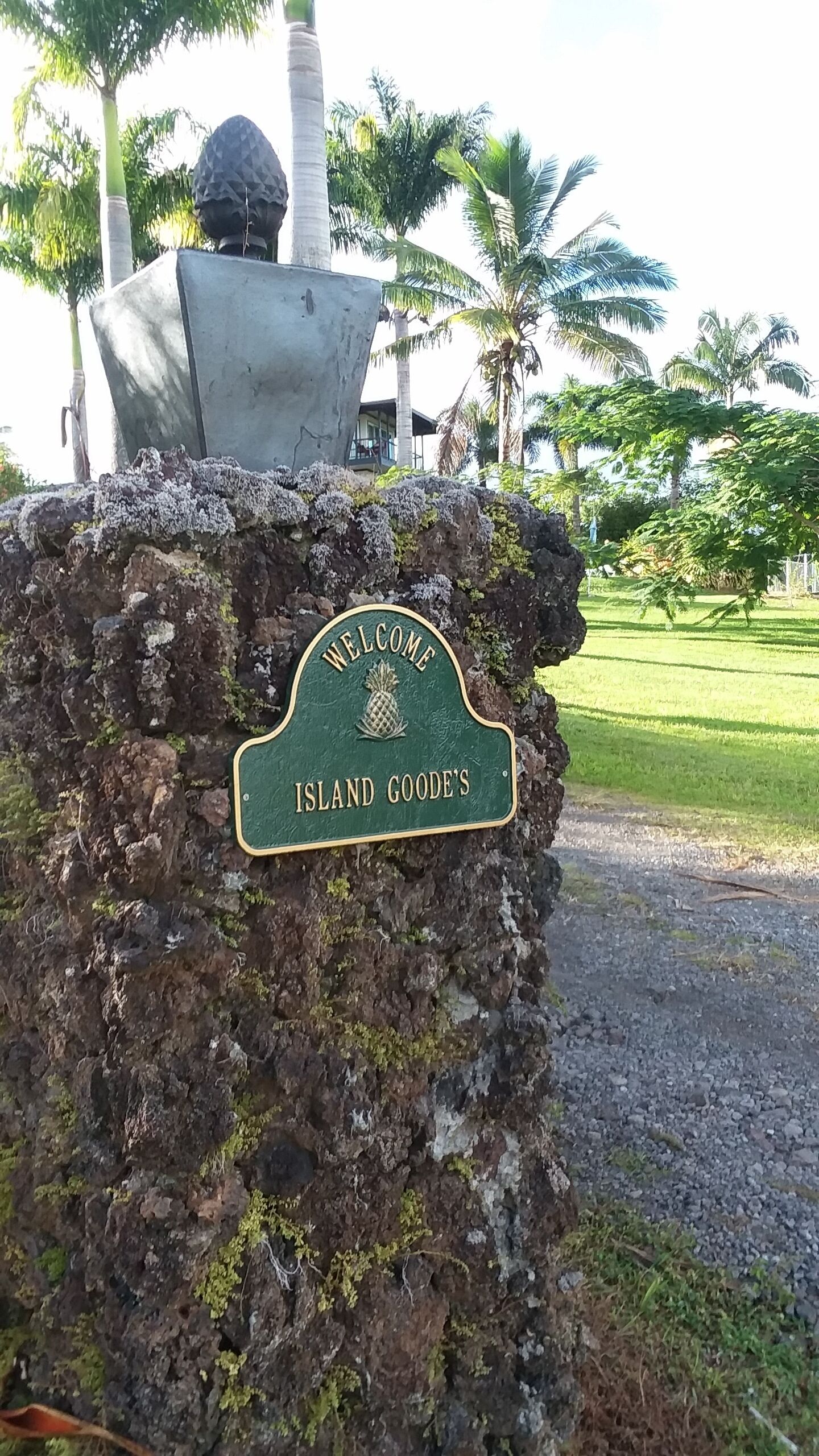 A welcome sign on a rock with a pineapple emblem, surrounded by greenery and palm trees.