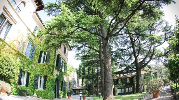 Un patio con un árbol grande, un banco y un sendero que lleva a un edificio con contraventanas verdes.