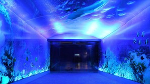 An underwater aquarium tunnel with clear glass walls, allowing views of various fish and marine life. - Clownfish Resort (Hengchun)