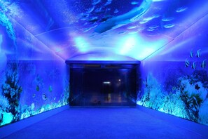 Servicio de la propiedad