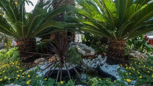 Un jardin avec des palmiers, un mur de pierres et des fleurs jaunes.