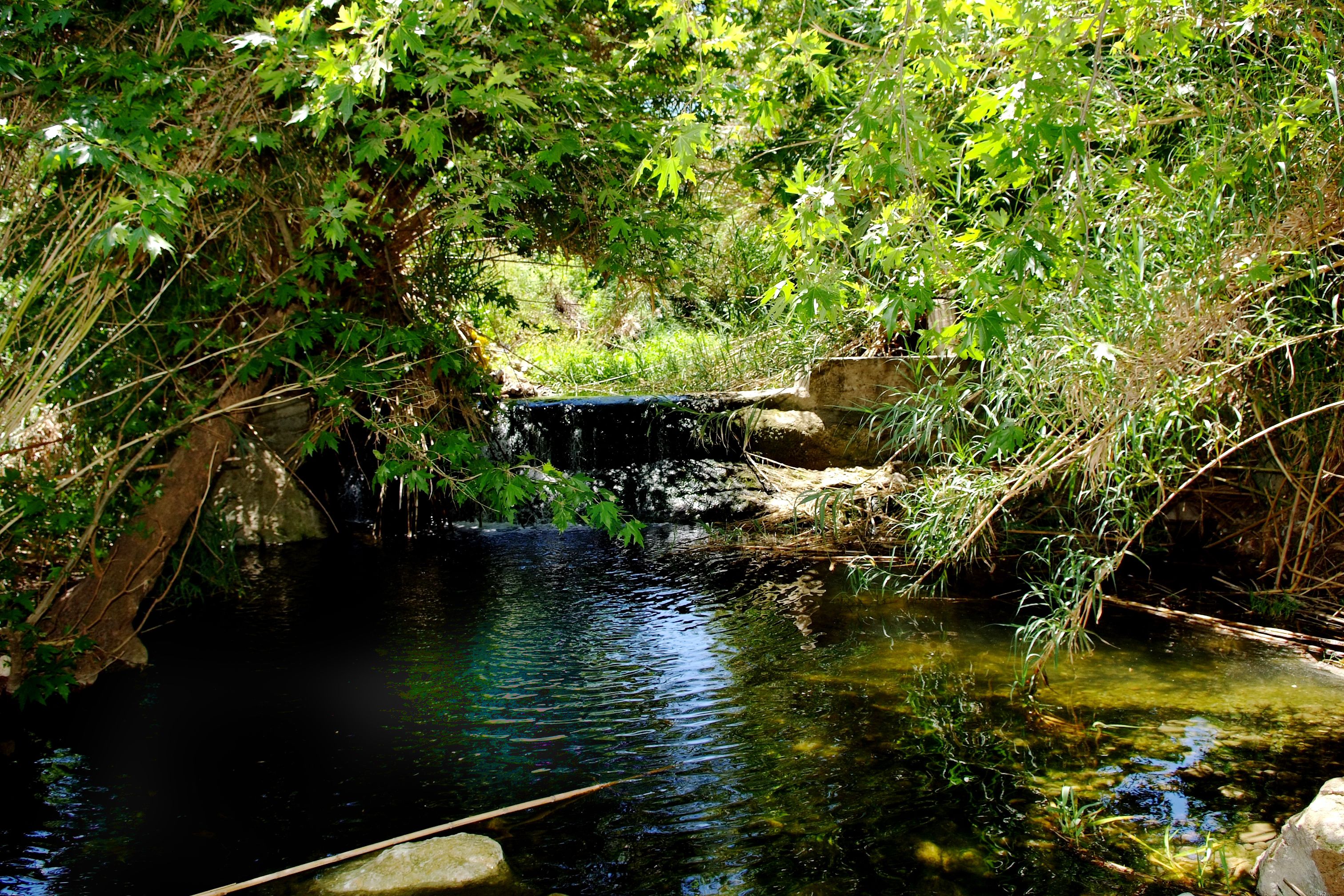 A small waterfall in a lush, green area with dense foliage.