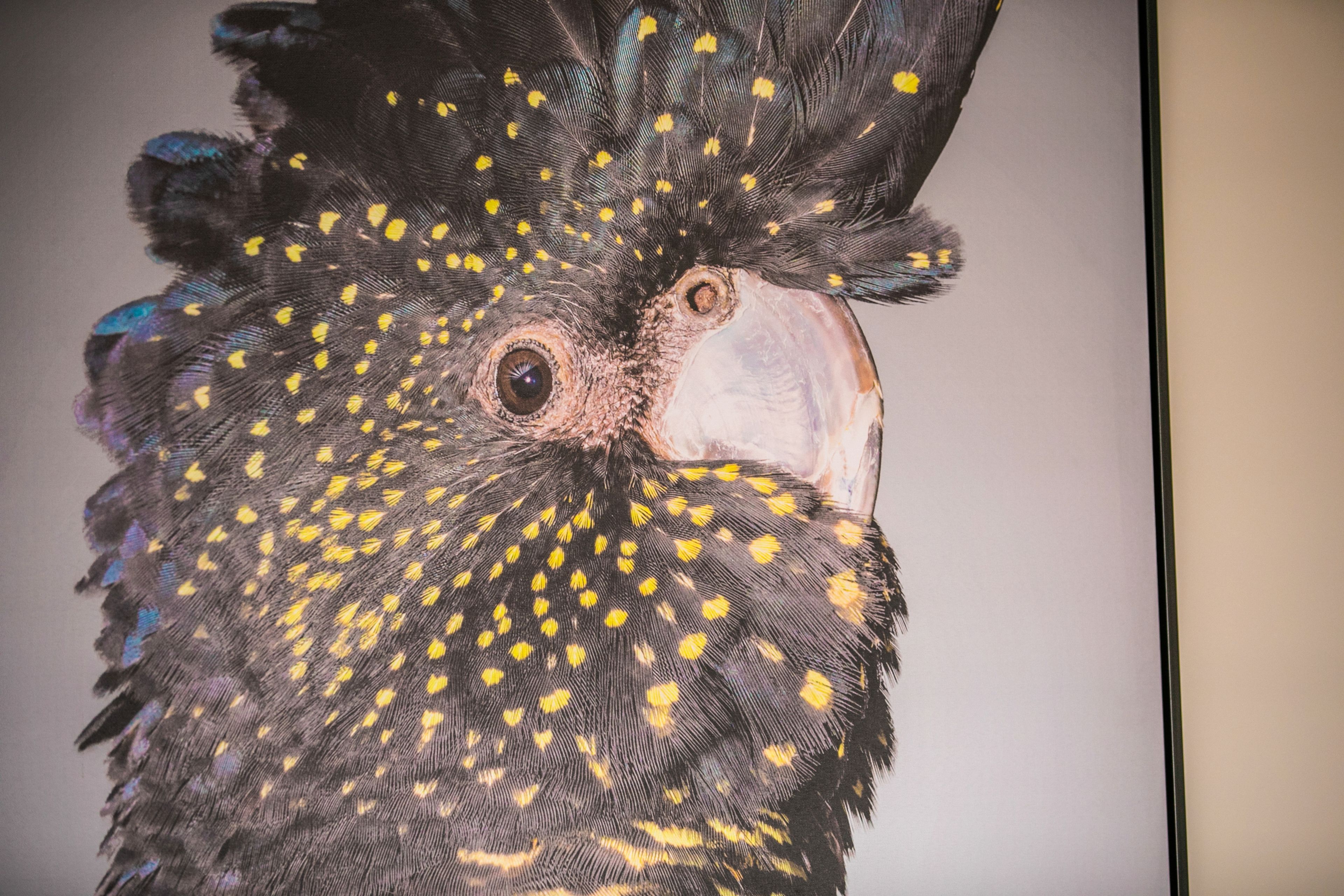 studio twin queen | desk, iron/ironing board, free wifi, bed sheets