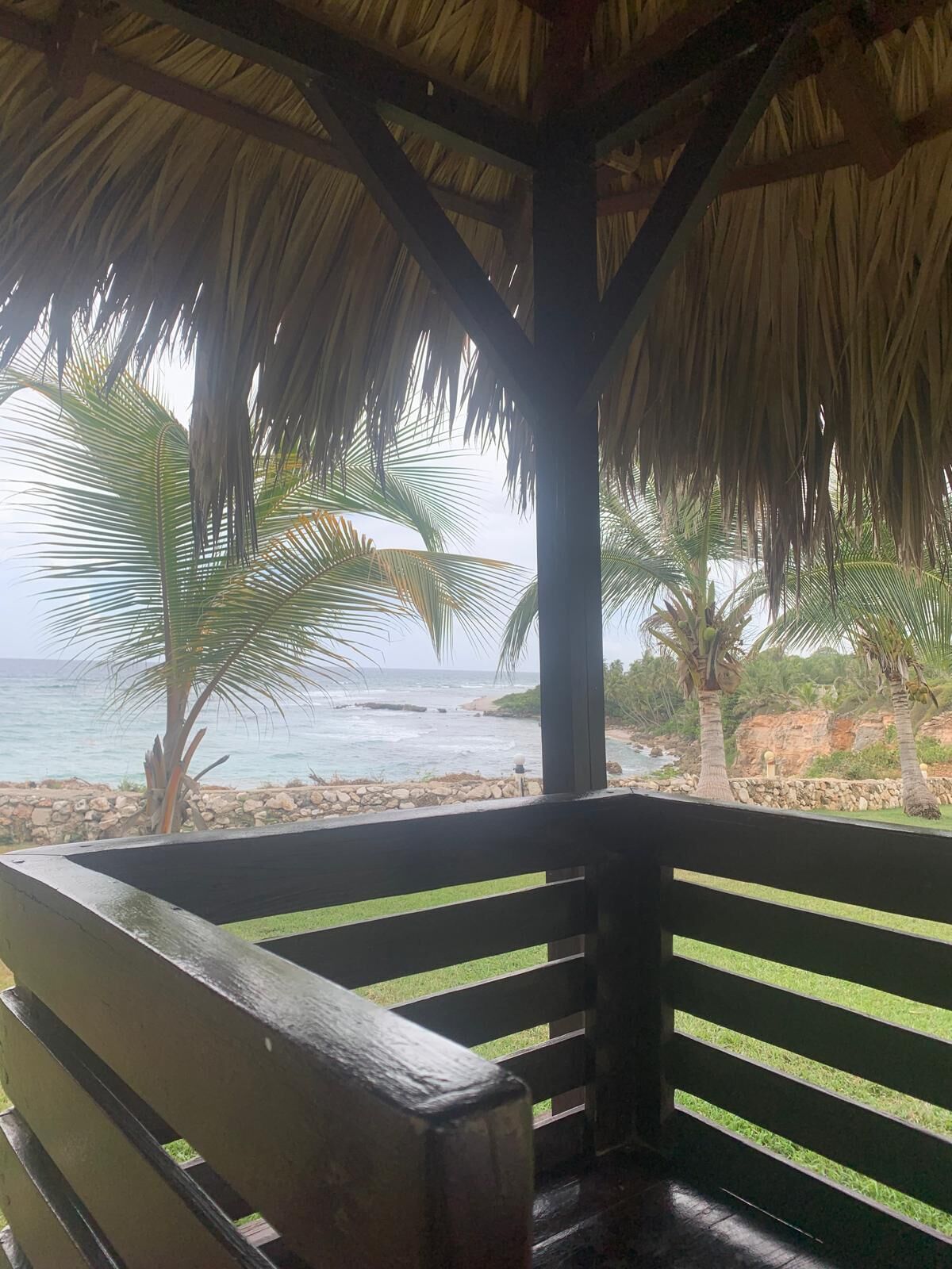 A beachside view from a wooden deck with a thatched roof, overlooking the ocean and palm trees.