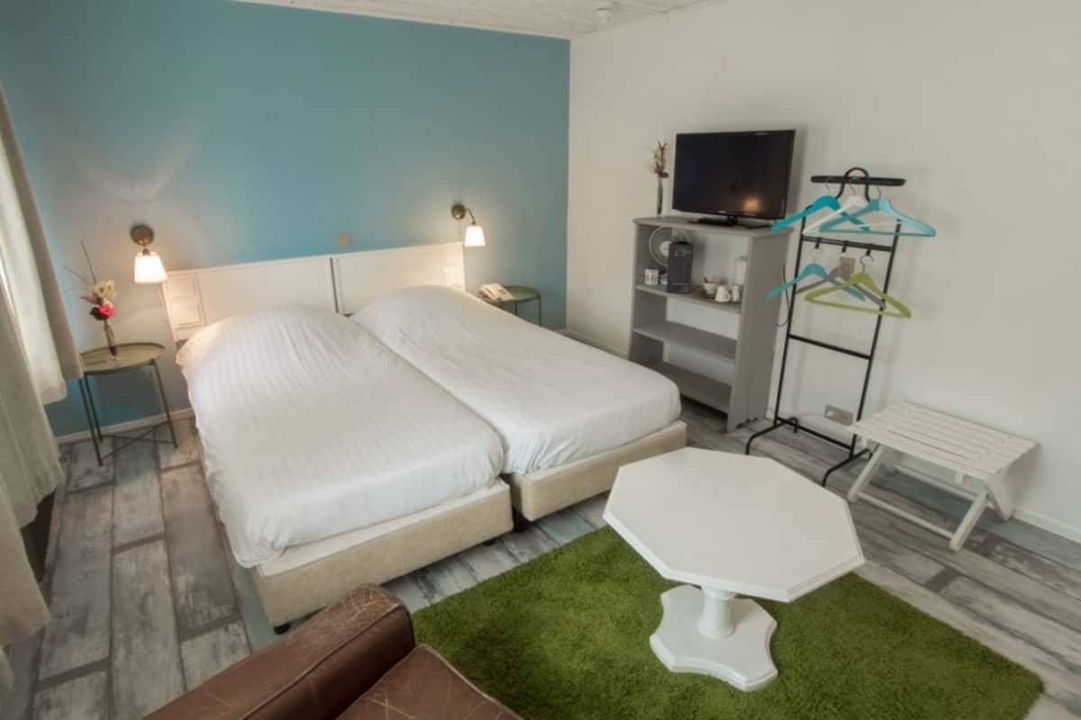 A double bed with white linens, a small white table, a green rug, a TV on a stand, and a clothing rack with hangers.