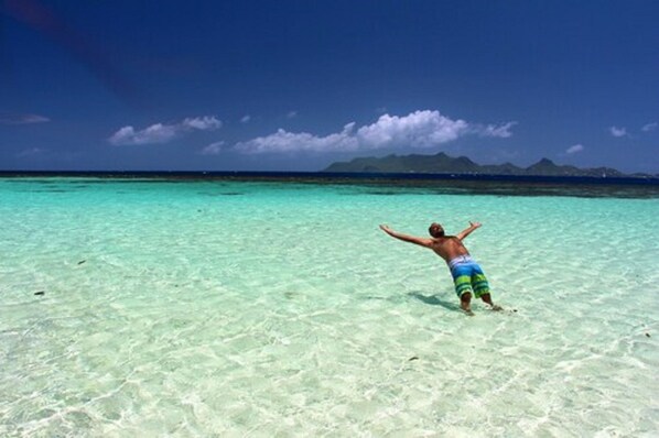 View from property - Anchorage Yacht Club Hotel (Union Island)