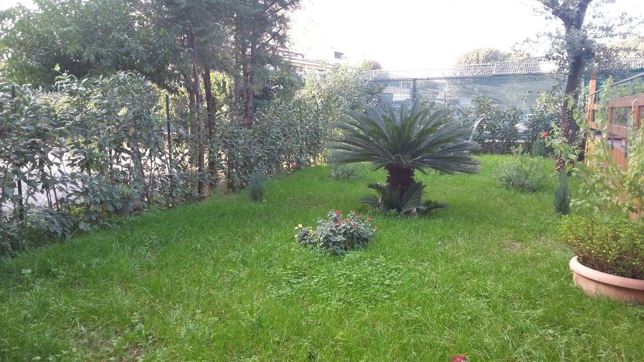 Un exuberante jardín con diversas plantas y una palmera en el centro.