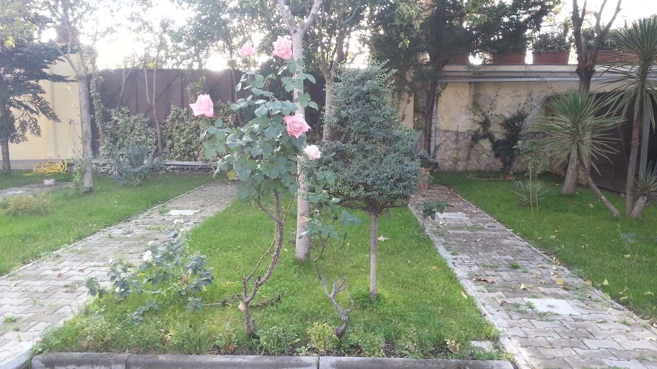 A garden with a rose bush, a small tree, and a pathway.