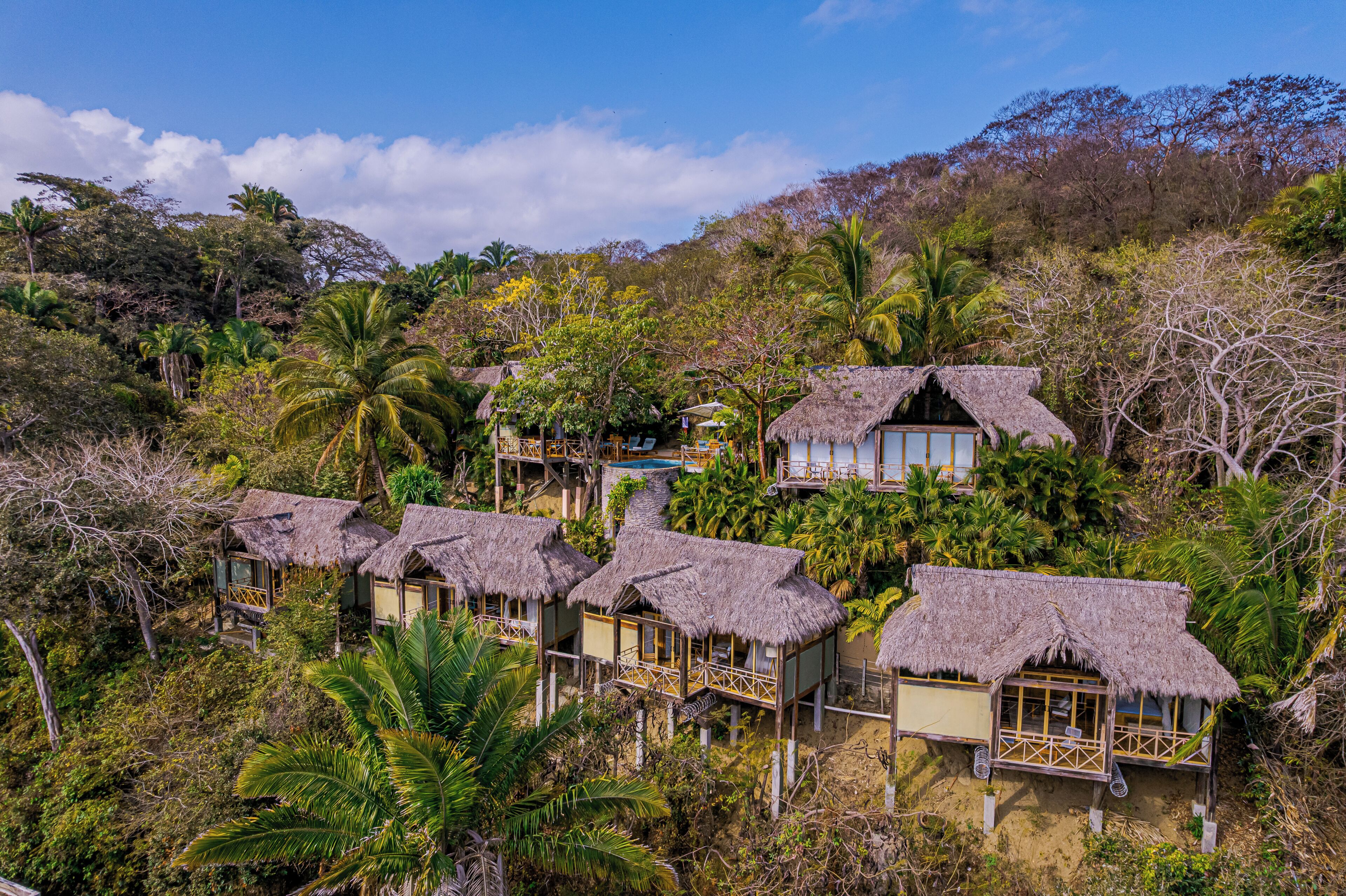 A cluster of thatched-roof cottages surrounded by dense tropical vegetation.