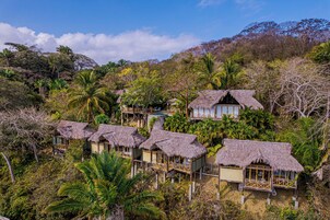 A cluster of thatched-roof cottages surrounded by dense tropical vegetation.