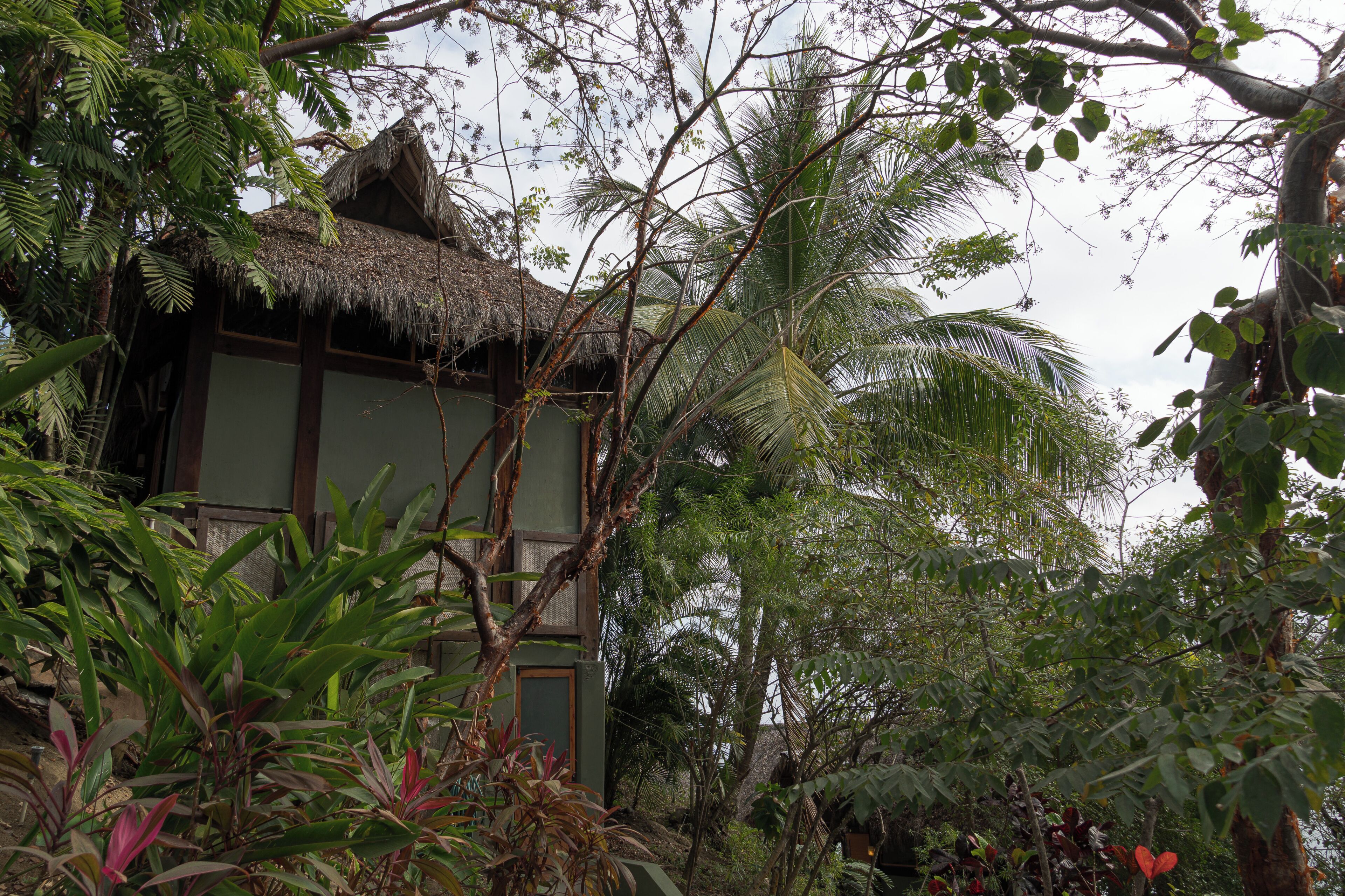 Un edificio tradicional con techo de paja rodeado de exuberante vegetación tropical.