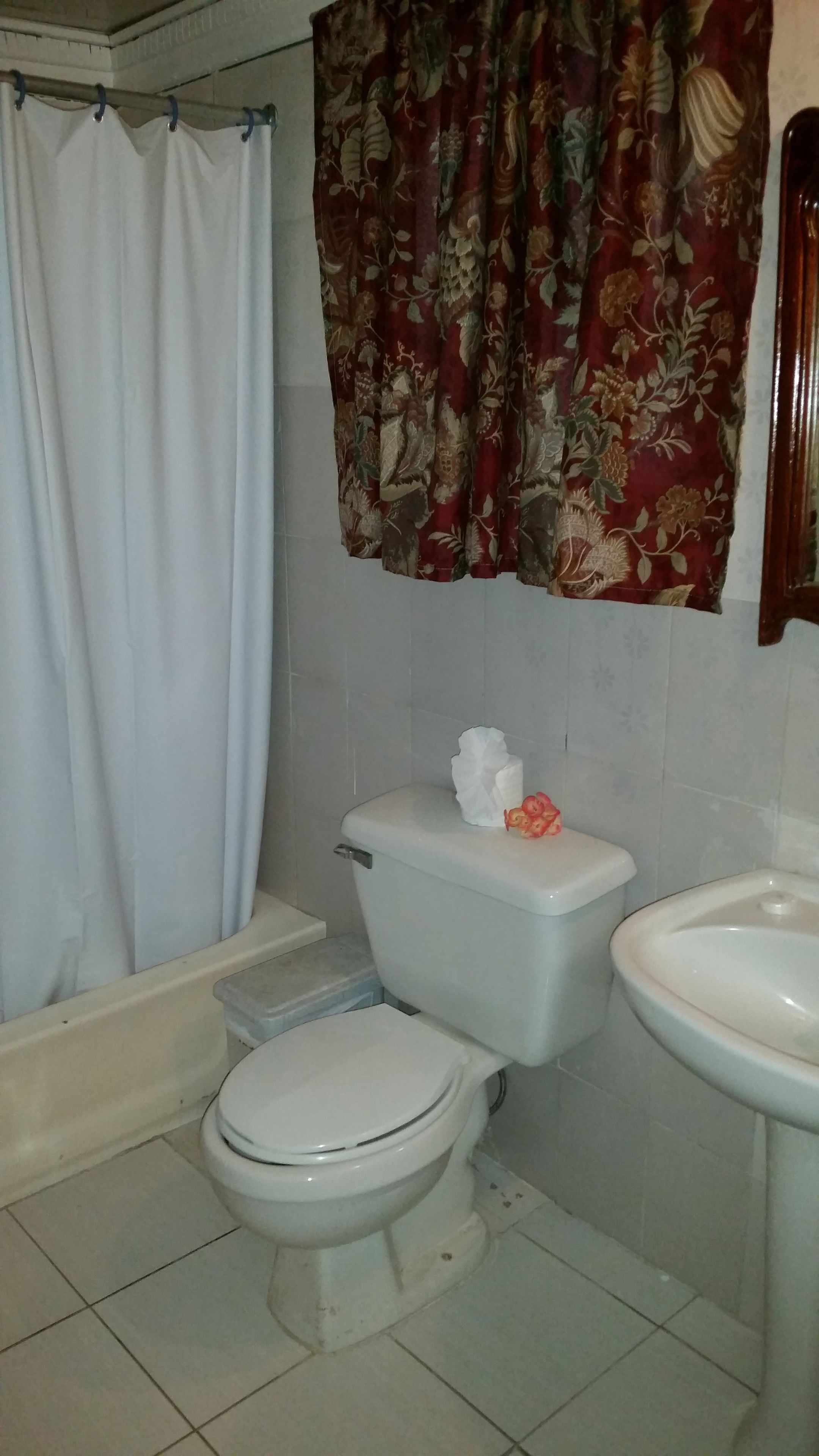 A bathroom with a toilet, a sink, and a shower curtain.