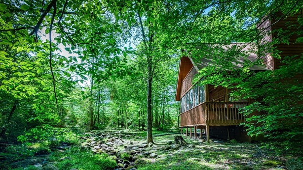 Una cabaña de madera con un porche, rodeada de un bosque denso y un arroyo.