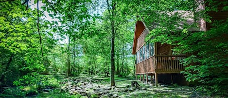 Creekside Cabin, 2 Bedrooms, Outdoor Hot Tub, Pool Table (2 King Beds, 1 Queen Sofa Bed) | View from room