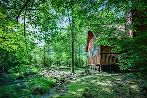 Luxury Cabin, 2 Bedrooms, Jetted Tub, Mountain View (2 King Bed, 1 Queen Sofa Bed) | View from room