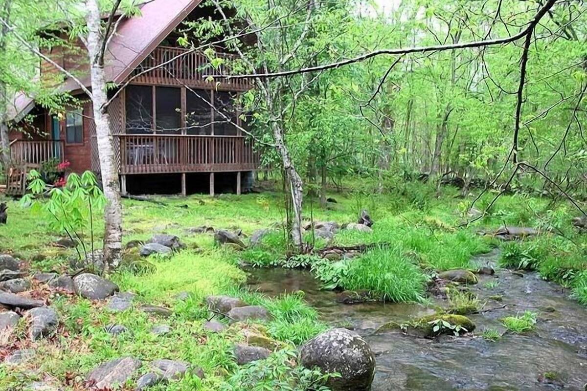 Una cabaña con terraza de madera que da a un arroyo rodeado de abundante vegetación.