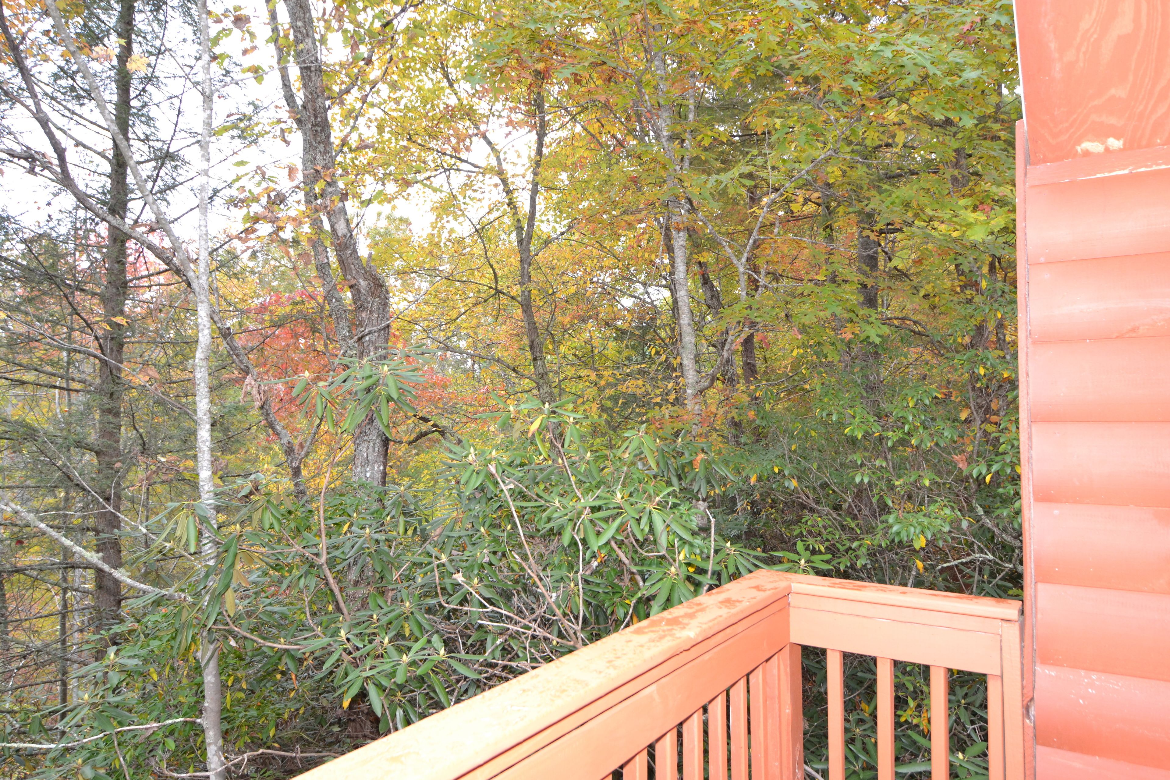 A wooden deck with a view of a forested area.