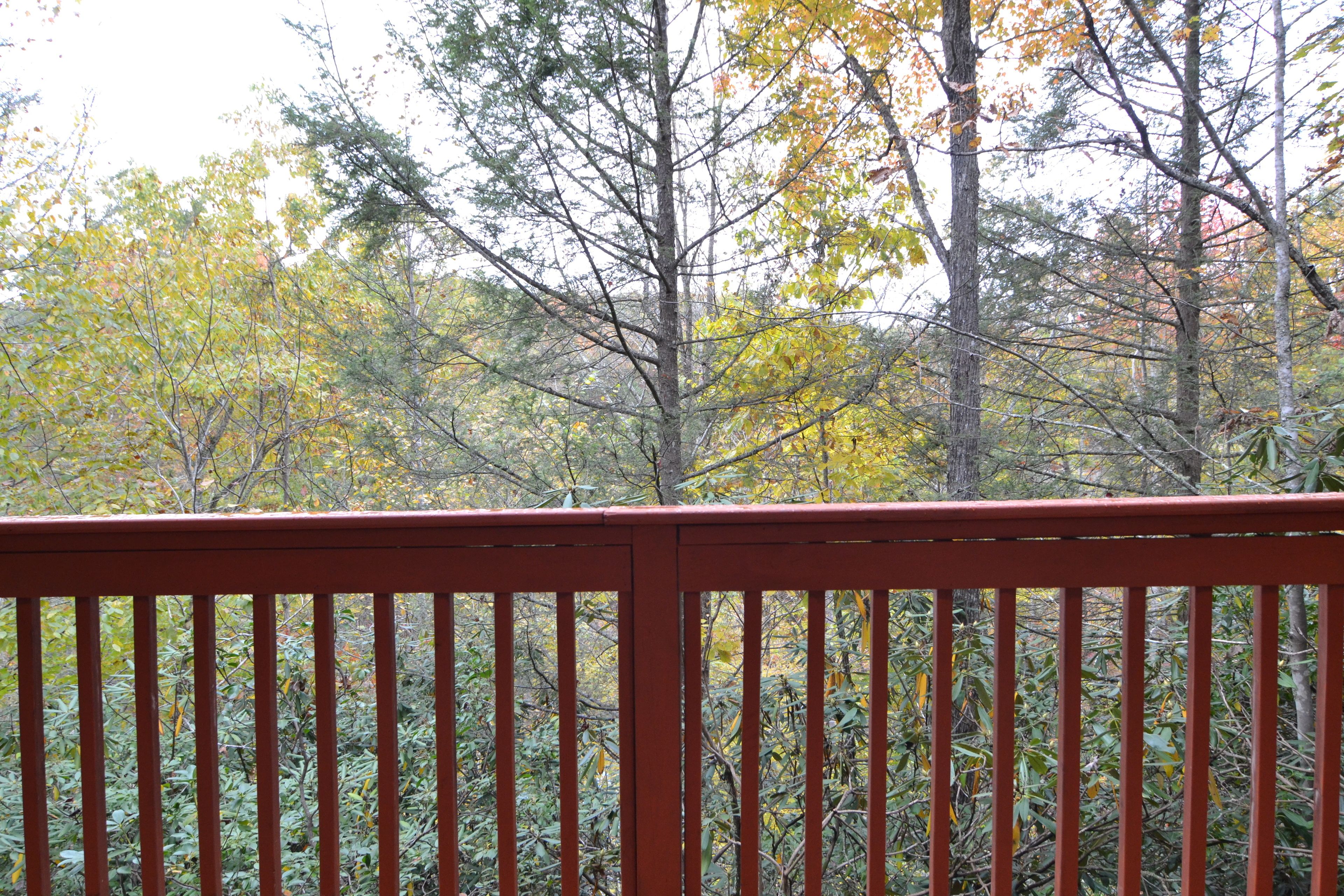A wooden deck with a view of trees in autumn colors.