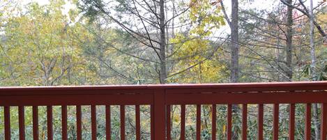 A wooden deck with a view of trees in autumn colors.