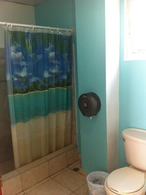 Habitación doble estándar | Baño | Regadera y secadora de cabello 