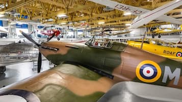 Un avion militaire d’époque, doté d’un camouflage, d’une hélice et d’un insigne circulaire.