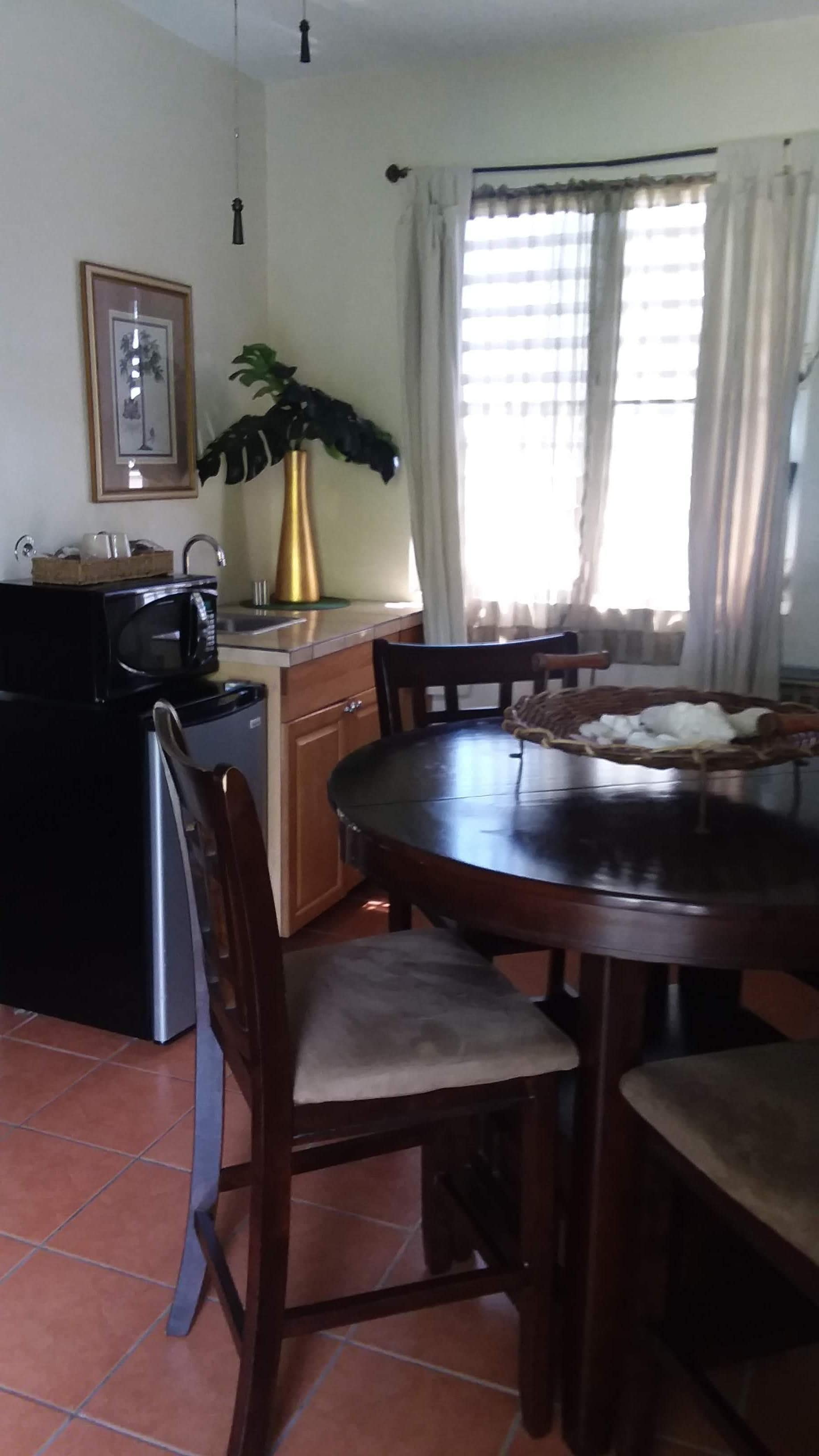 Une cuisine équipée d’une table à manger, de chaises, d’un réfrigérateur, d’un four à micro-ondes et d’une plante en pot.