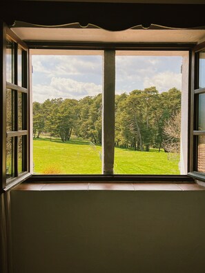 Habitación doble, baño privado | Vistas desde el alojamiento