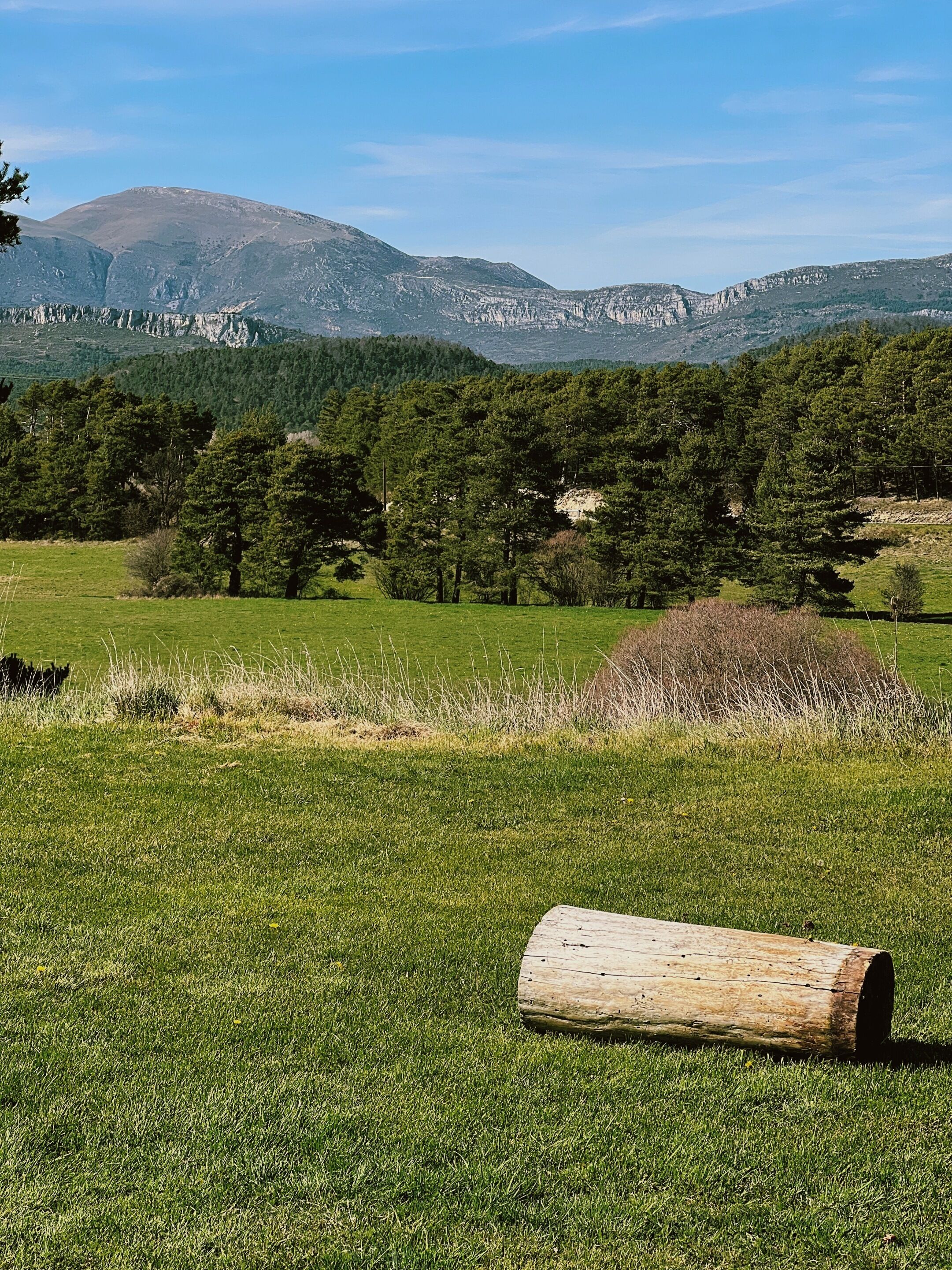 A grassy field with a log in the foreground and a mountainous landscape in the background.