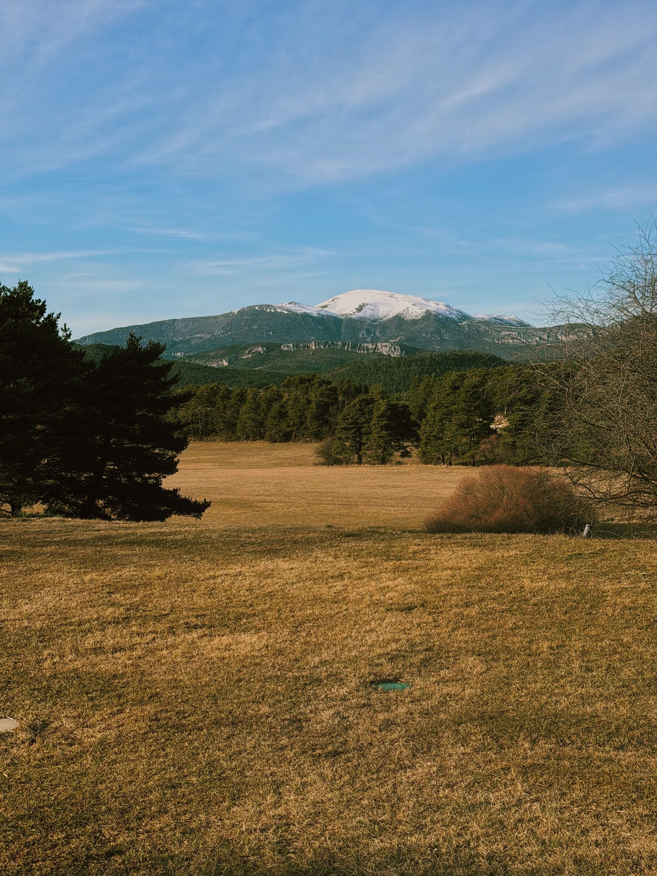 Un campo cubierto de césped con una montaña al fondo.