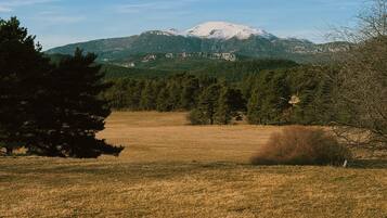 Un campo cubierto de césped con una montaña al fondo.