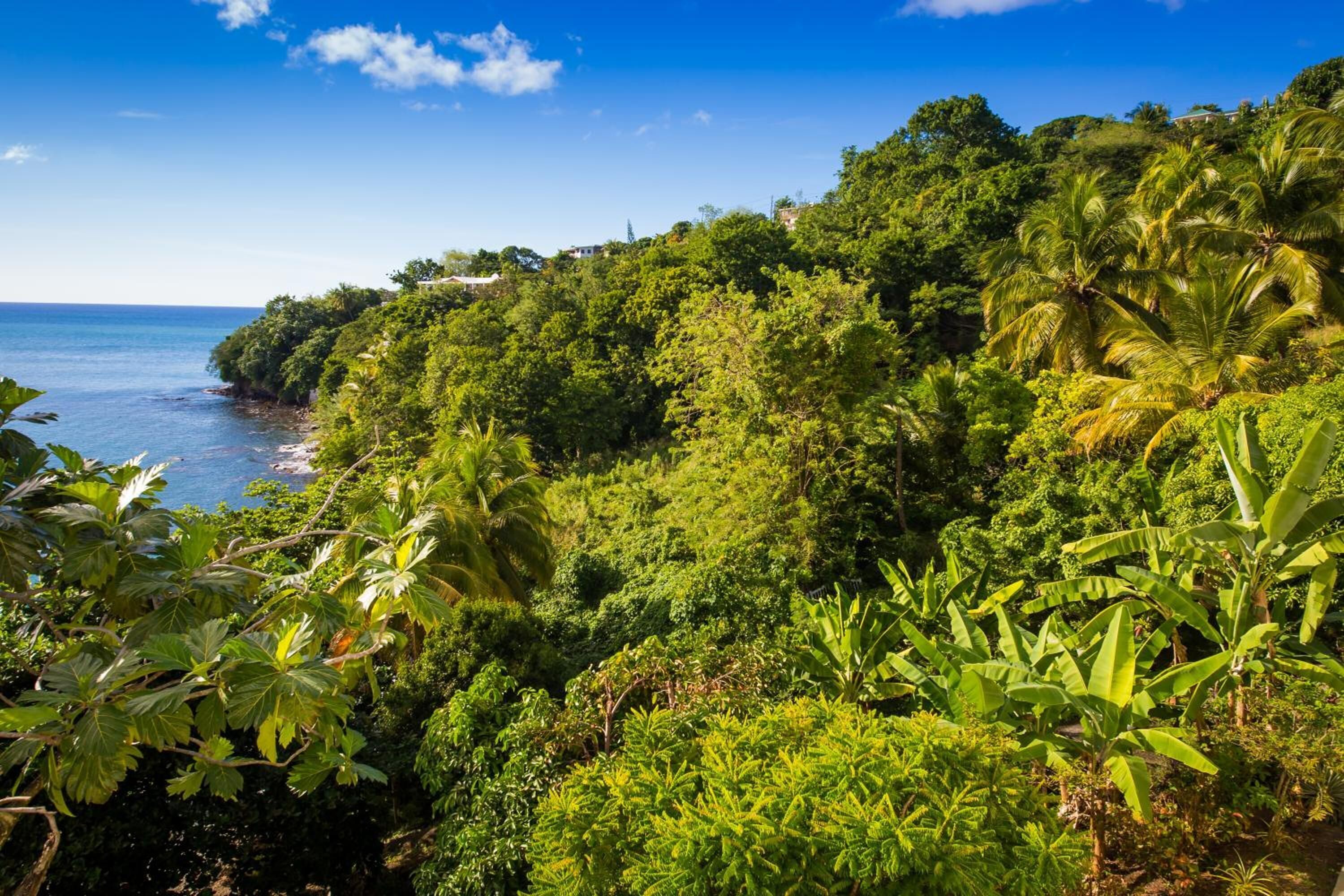 Photo - Casa del Vega a Little Peace of Heaven