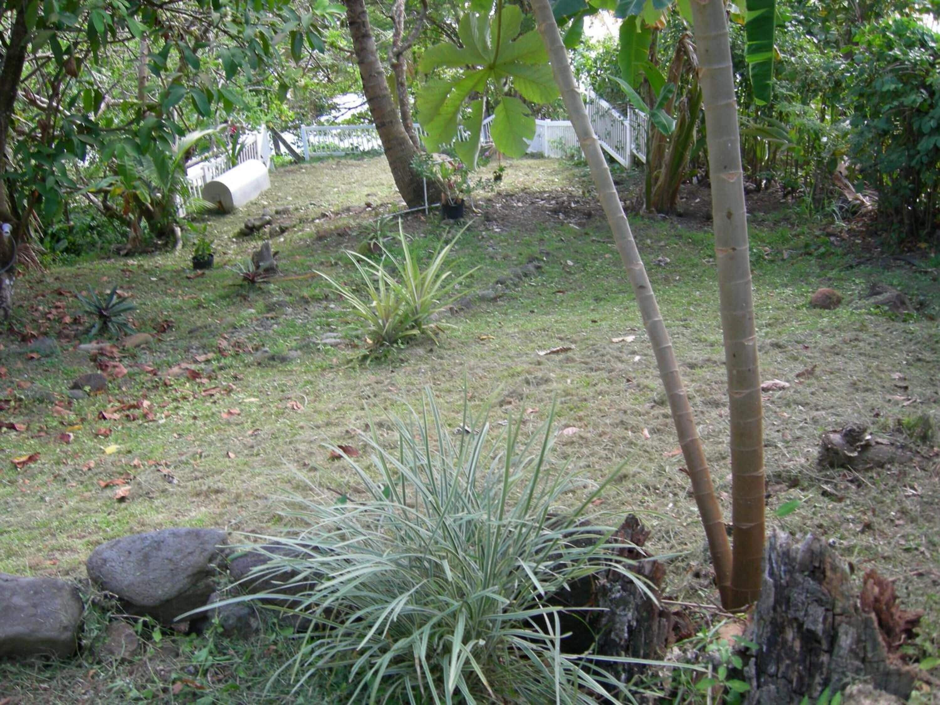 Photo - Casa del Vega a Little Peace of Heaven