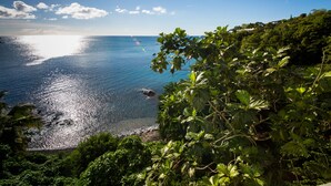 Paisaje costero con vegetación densa y una vista despejada del mar.