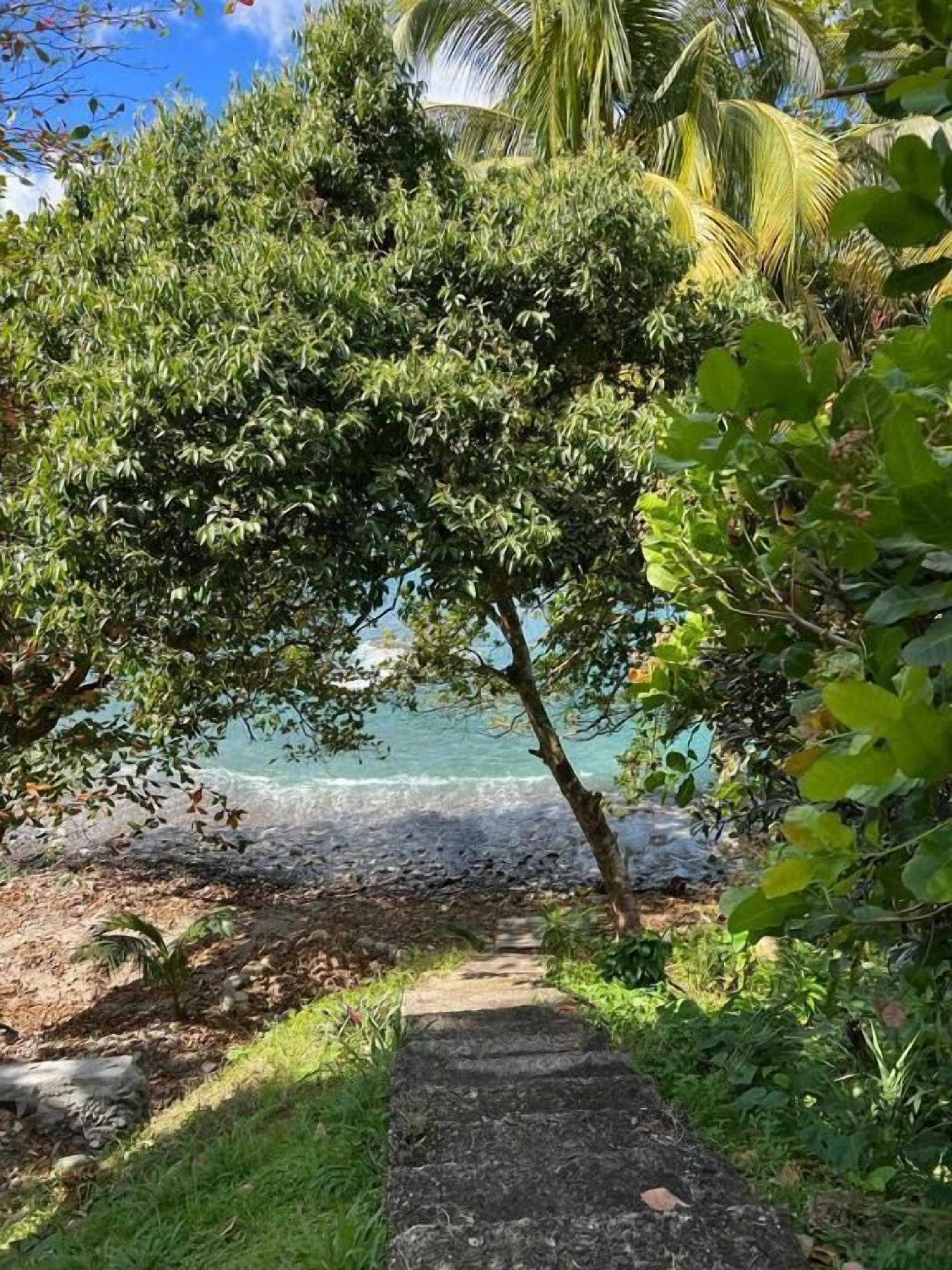 A pathway leading to a beach with palm trees and ocean views.