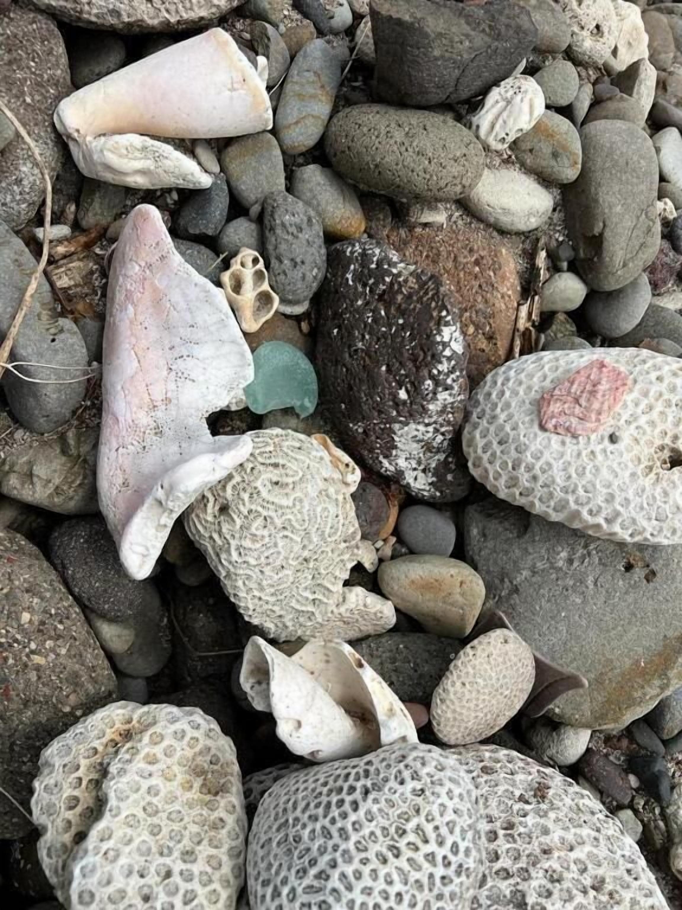 A collection of variously shaped and textured stones and rocks.