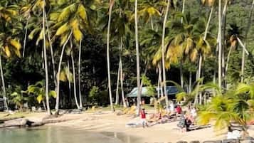 A beach with palm trees, a rocky shoreline, and a clear blue sky.