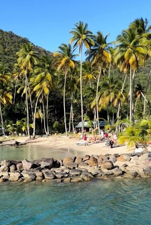 شاطئ