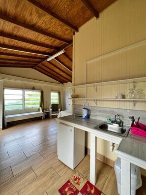 Habitación estándar | Espacio para trabajar con laptop y tabla de planchar con plancha 