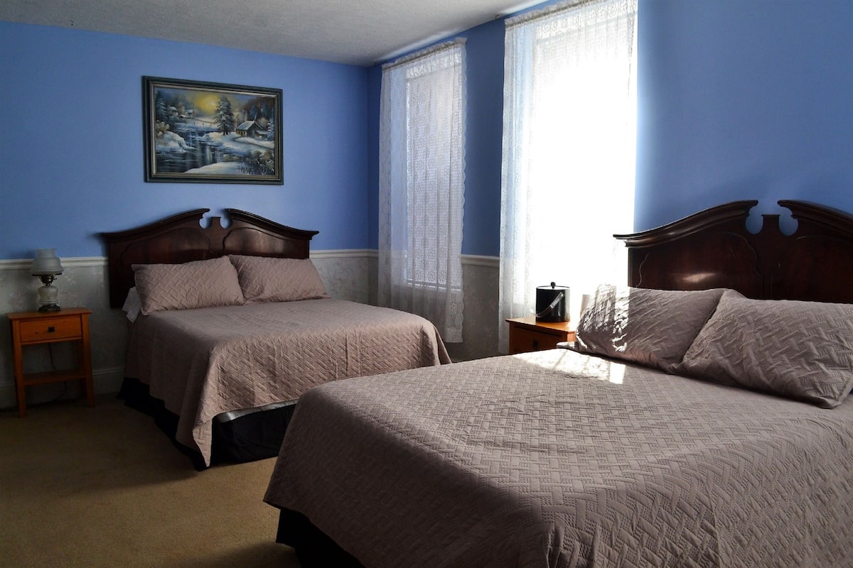 deluxe double room, 2 double beds | iron/ironing board, free wifi, bed sheets