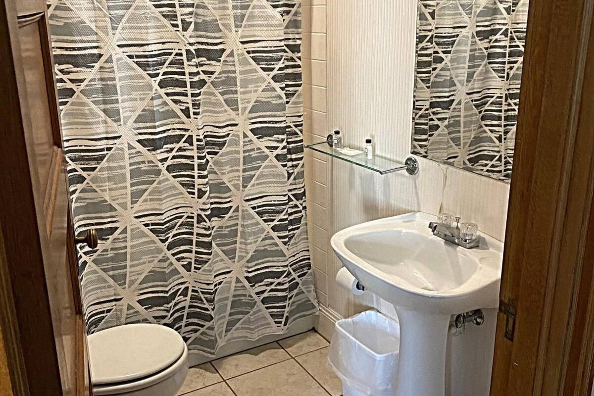 combined shower/bathtub, free toiletries, hair dryer, towels