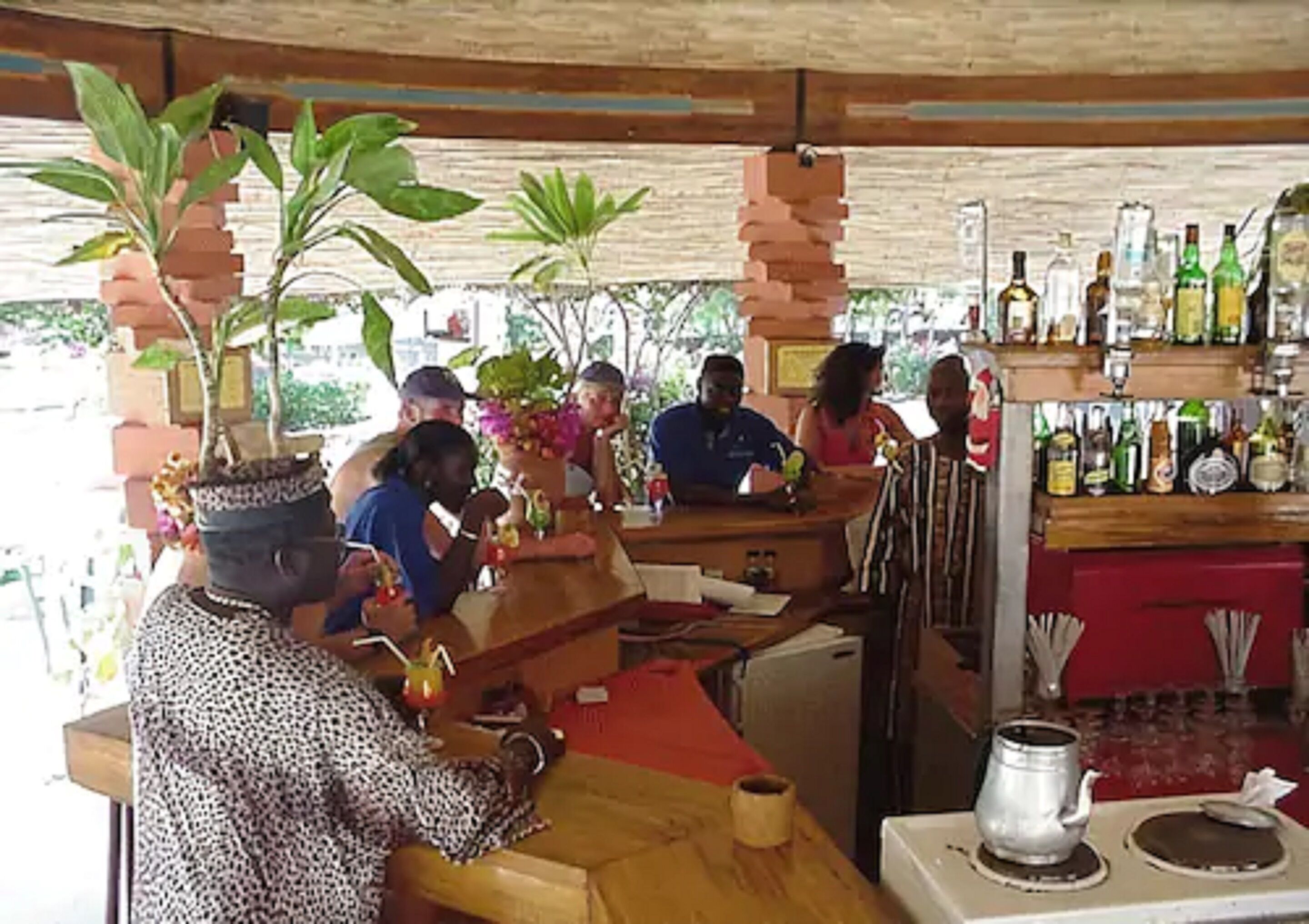 A bar area with wooden furniture, potted plants, and a variety of bottles on shelves.