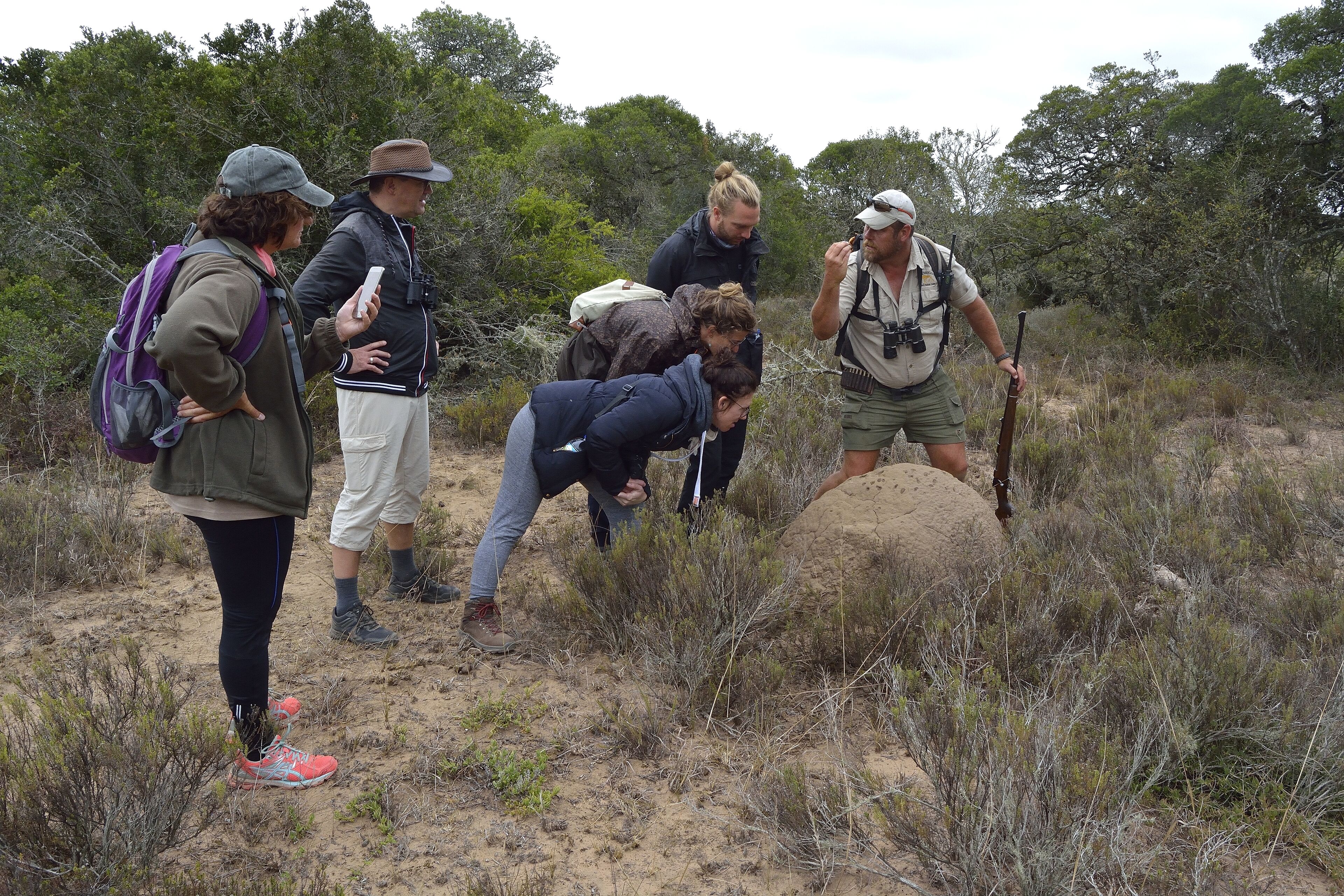 Un grupo de personas haciendo senderismo en una zona natural y con mucha vegetación, con una gran roca al frente.