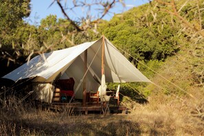 Standard Twin Room | View from room - Quatermain's 1920's Safari Camp - Amakhala Game Reserve (Paterson)
