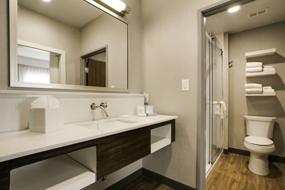 Une salle de bain moderne avec un lavabo blanc, un meuble-lavabo en bois foncé, un grand miroir et une cabine de douche en verre.